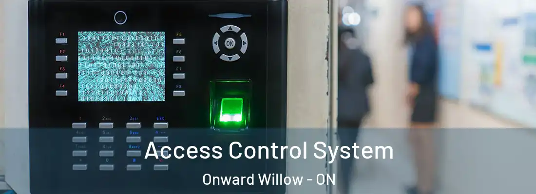  Access Control System Onward Willow - ON