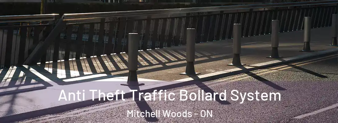  Anti Theft Traffic Bollard System Mitchell Woods - ON