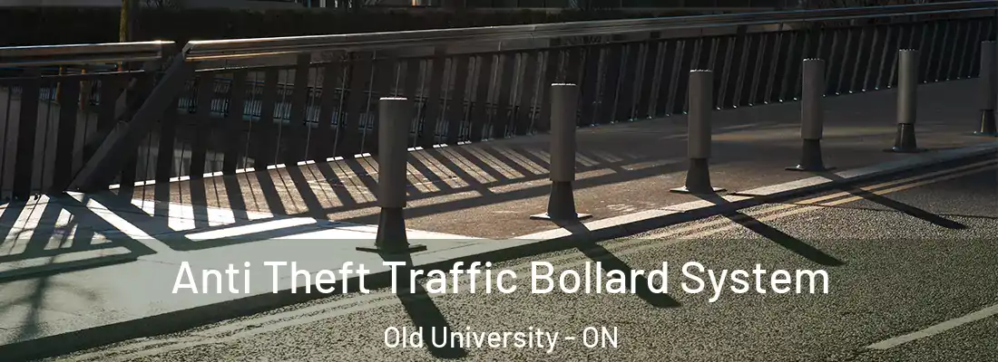  Anti Theft Traffic Bollard System Old University - ON
