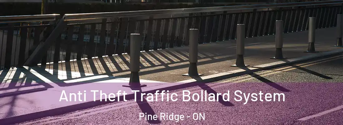  Anti Theft Traffic Bollard System Pine Ridge - ON