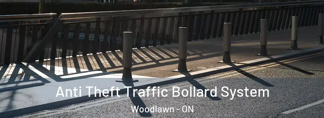  Anti Theft Traffic Bollard System Woodlawn - ON