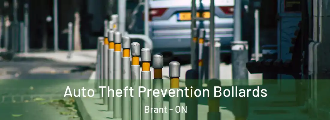  Auto Theft Prevention Bollards Brant - ON