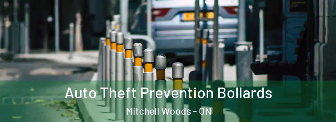 Auto Theft Prevention Bollards Mitchell Woods - ON