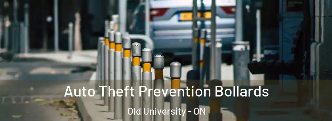  Auto Theft Prevention Bollards Old University - ON