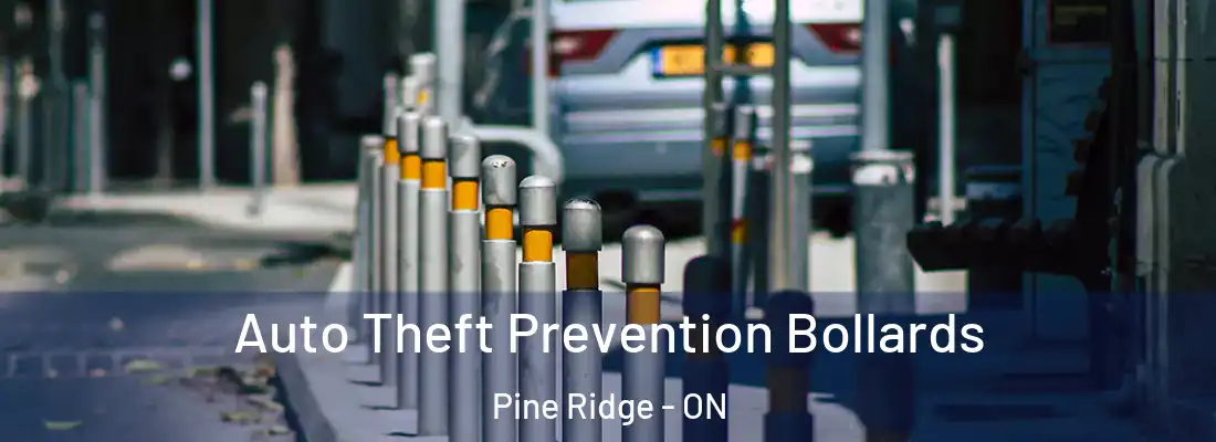  Auto Theft Prevention Bollards Pine Ridge - ON