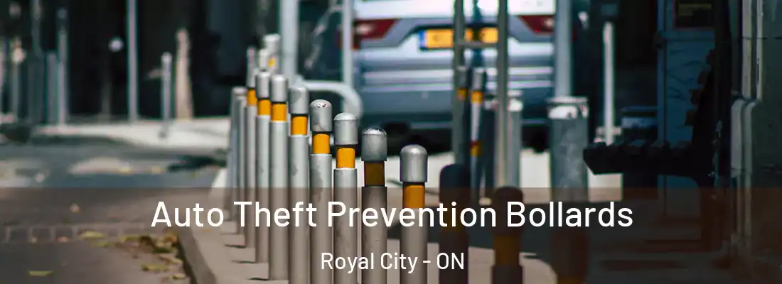 Auto Theft Prevention Bollards Royal City - ON