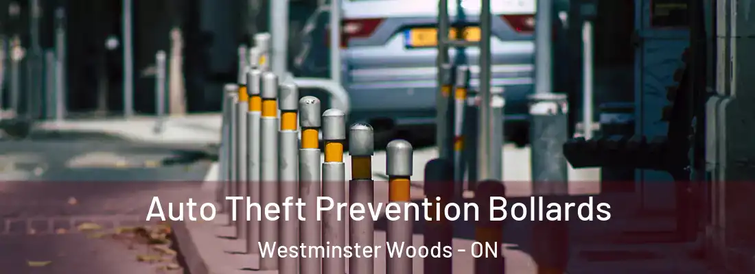  Auto Theft Prevention Bollards Westminster Woods - ON