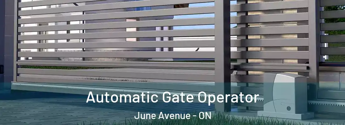  Automatic Gate Operator June Avenue - ON