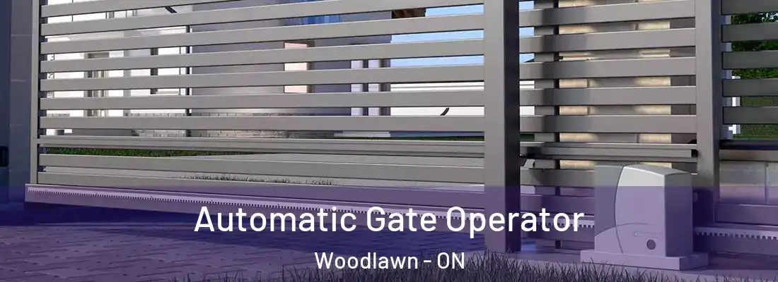  Automatic Gate Operator Woodlawn - ON