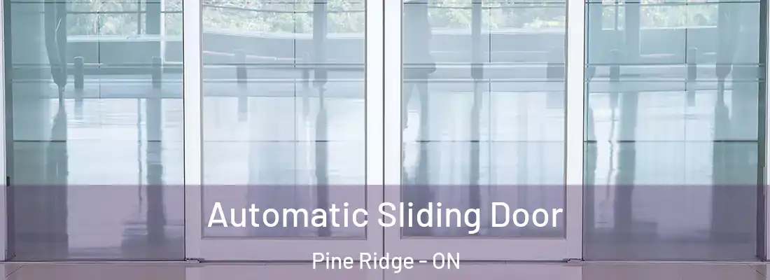  Automatic Sliding Door Pine Ridge - ON