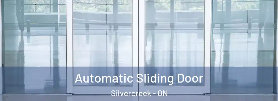  Automatic Sliding Door Silvercreek - ON