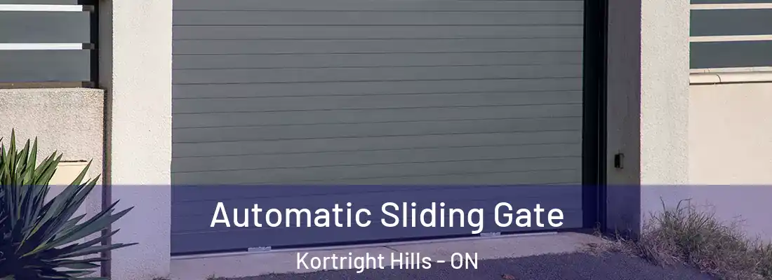  Automatic Sliding Gate Kortright Hills - ON