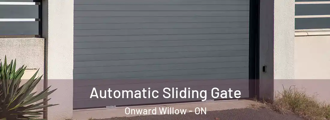  Automatic Sliding Gate Onward Willow - ON