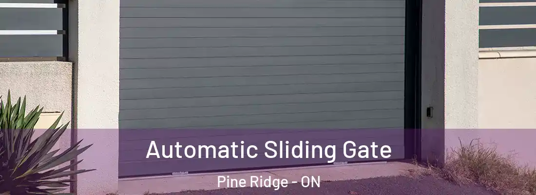  Automatic Sliding Gate Pine Ridge - ON
