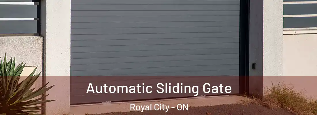  Automatic Sliding Gate Royal City - ON