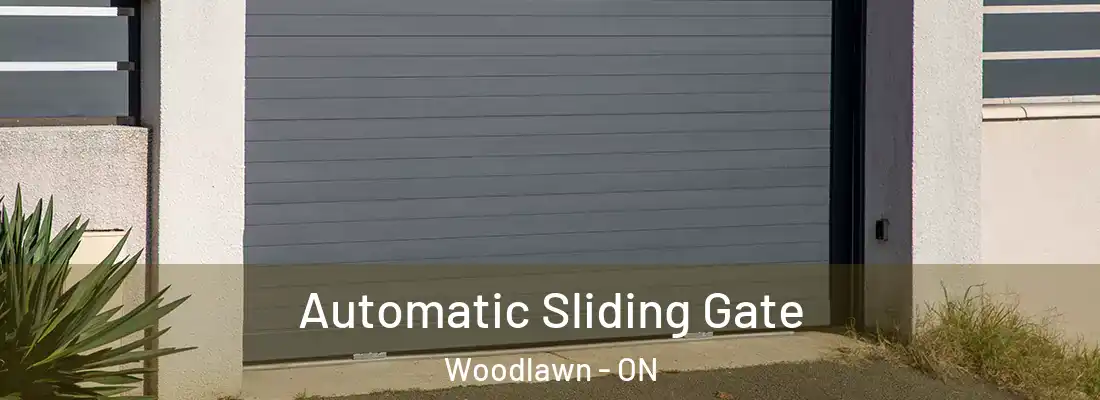 Automatic Sliding Gate Woodlawn - ON