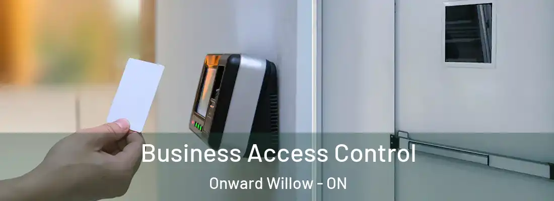 Business Access Control Onward Willow - ON