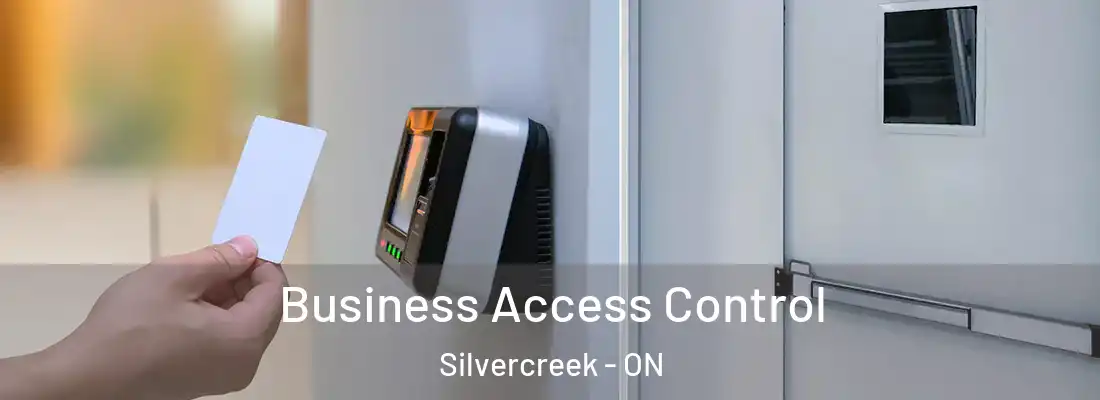  Business Access Control Silvercreek - ON
