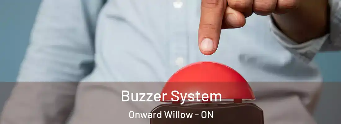  Buzzer System Onward Willow - ON
