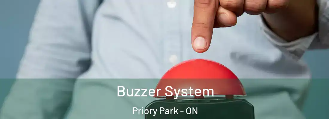  Buzzer System Priory Park - ON
