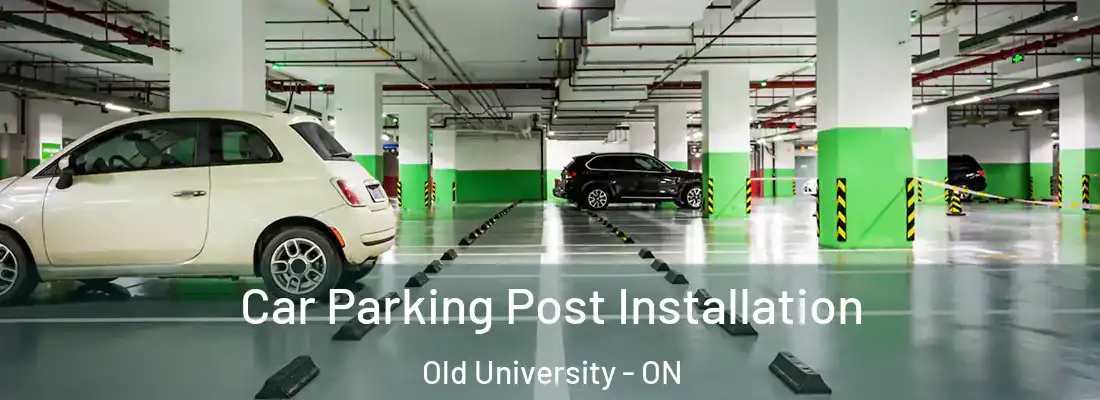  Car Parking Post Installation Old University - ON