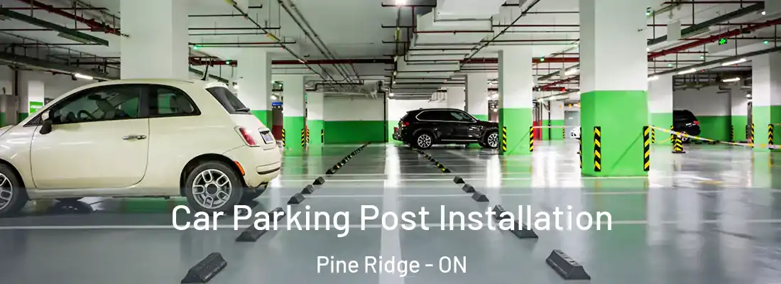  Car Parking Post Installation Pine Ridge - ON
