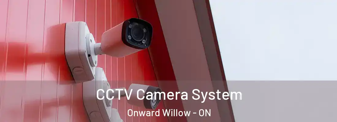  CCTV Camera System Onward Willow - ON