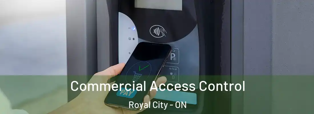  Commercial Access Control Royal City - ON