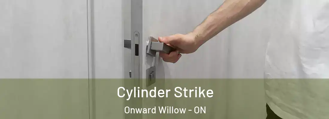  Cylinder Strike Onward Willow - ON