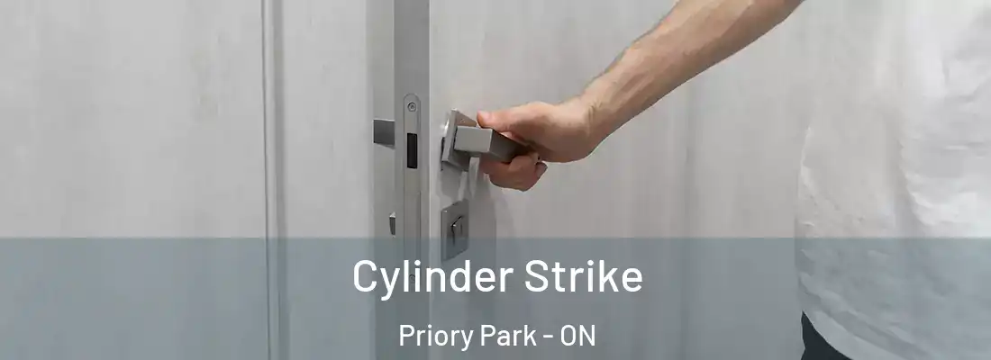  Cylinder Strike Priory Park - ON