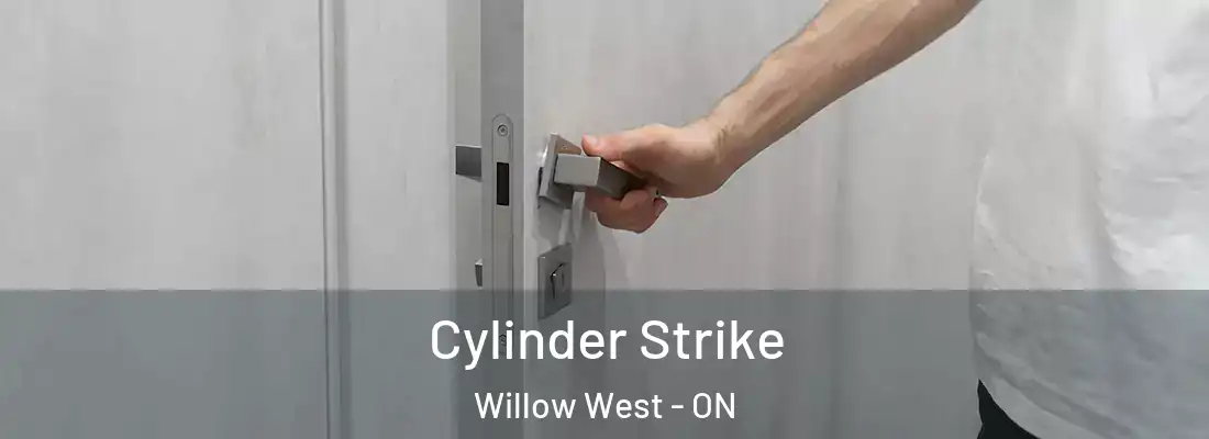 Cylinder Strike Willow West - ON