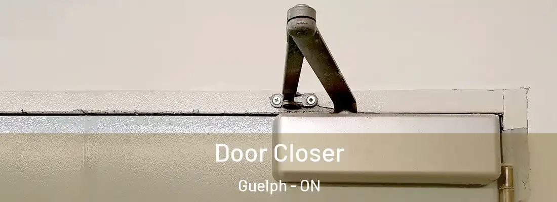  Door Closer Guelph - ON