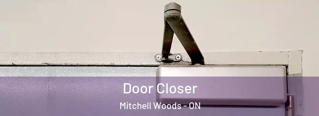  Door Closer Mitchell Woods - ON