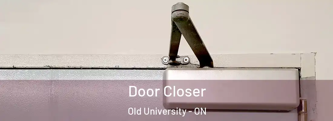  Door Closer Old University - ON