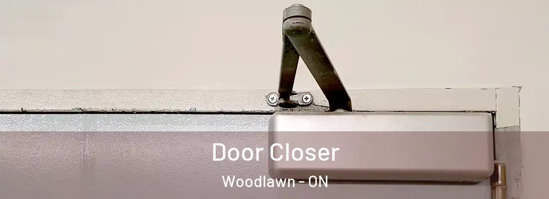  Door Closer Woodlawn - ON