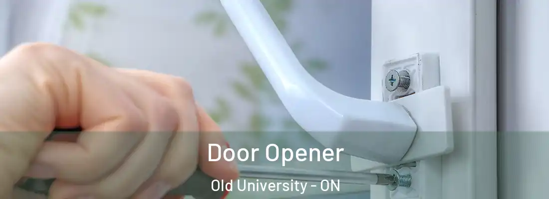  Door Opener Old University - ON