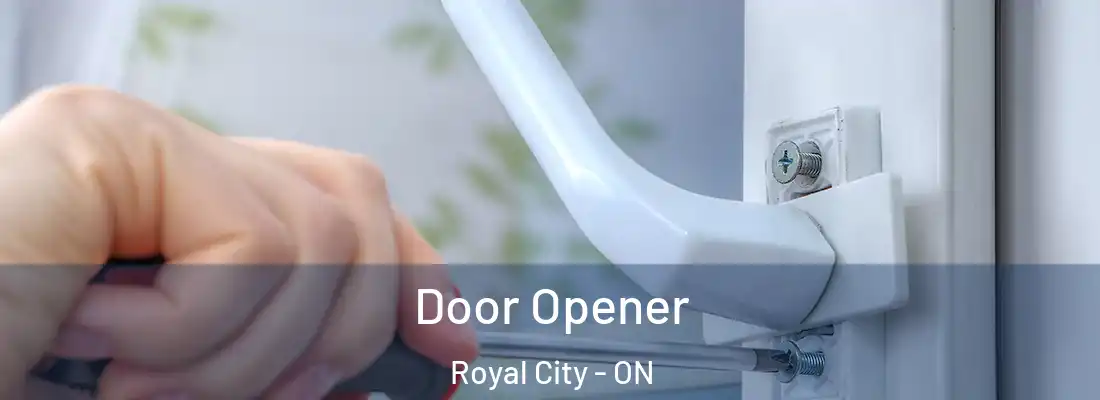  Door Opener Royal City - ON
