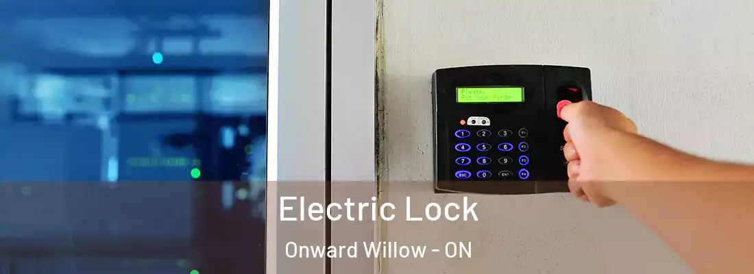  Electric Lock Onward Willow - ON