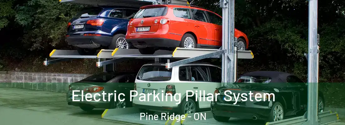  Electric Parking Pillar System Pine Ridge - ON