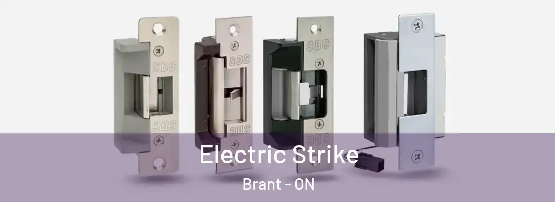  Electric Strike Brant - ON