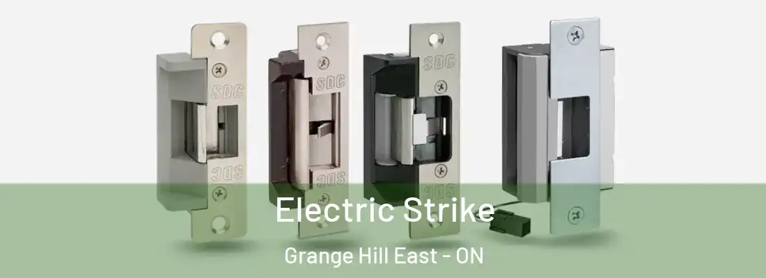  Electric Strike Grange Hill East - ON