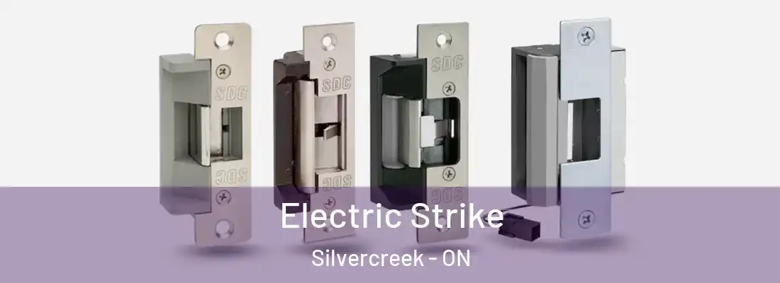  Electric Strike Silvercreek - ON