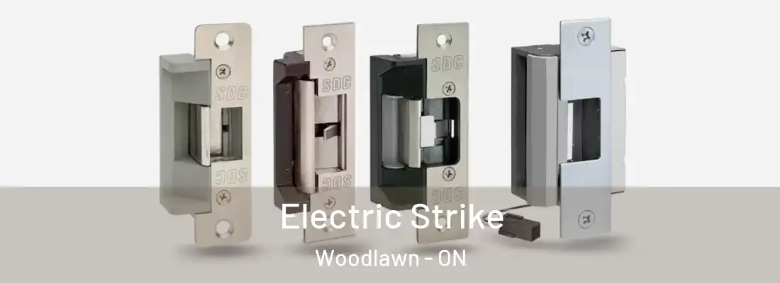  Electric Strike Woodlawn - ON