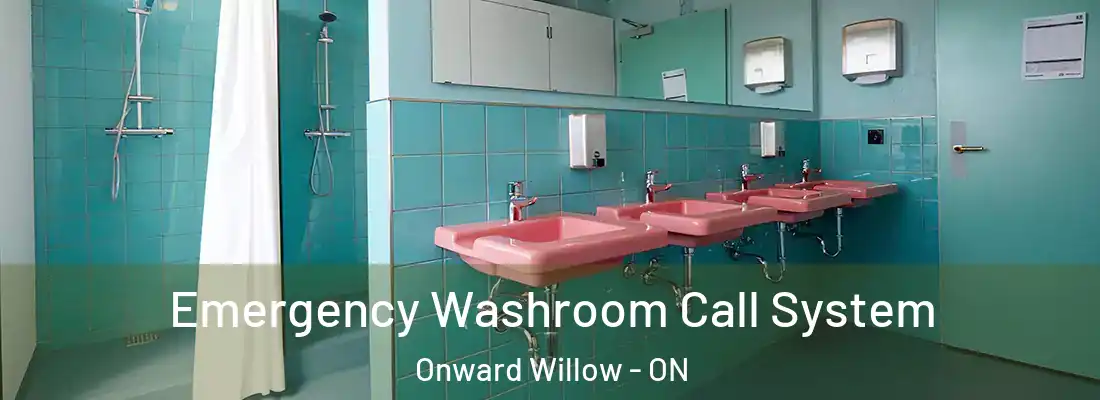  Emergency Washroom Call System Onward Willow - ON