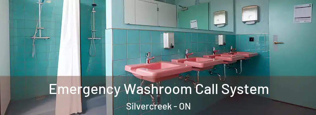  Emergency Washroom Call System Silvercreek - ON