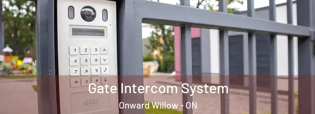  Gate Intercom System Onward Willow - ON