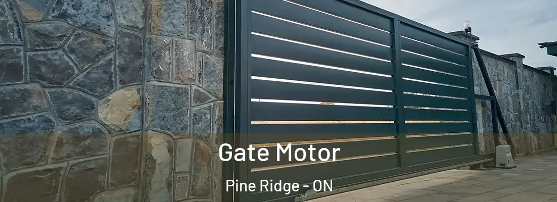  Gate Motor Pine Ridge - ON