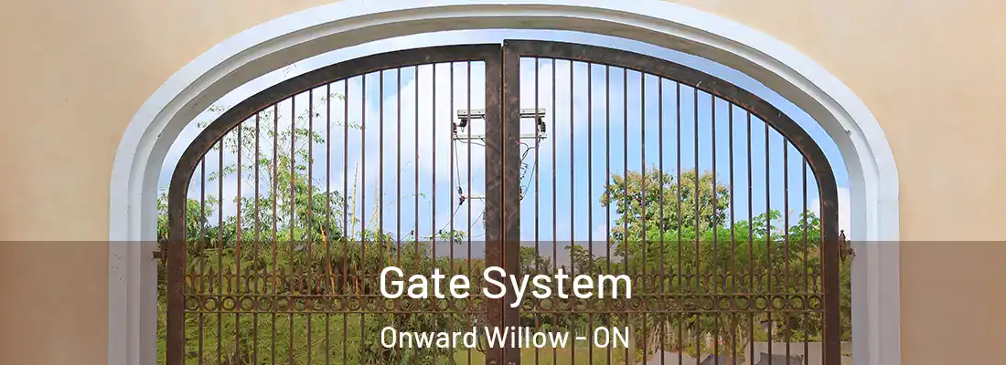  Gate System Onward Willow - ON