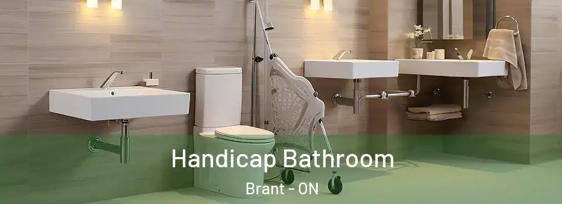  Handicap Bathroom Brant - ON