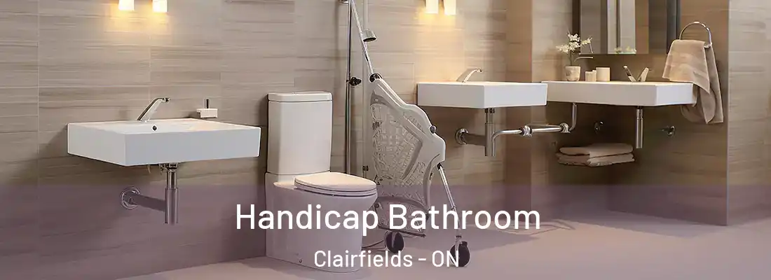 Handicap Bathroom Clairfields - ON